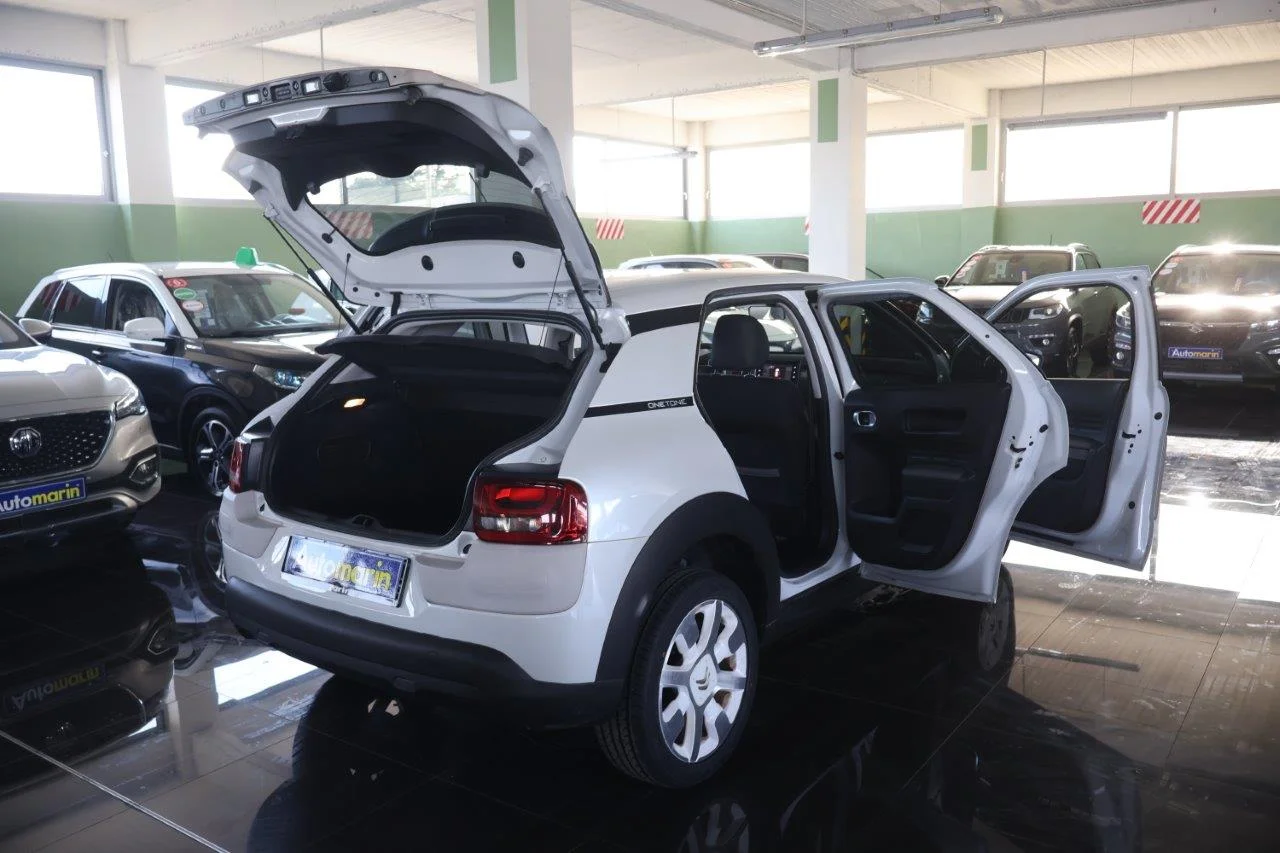 Citroen C4 Cactus - View model 7