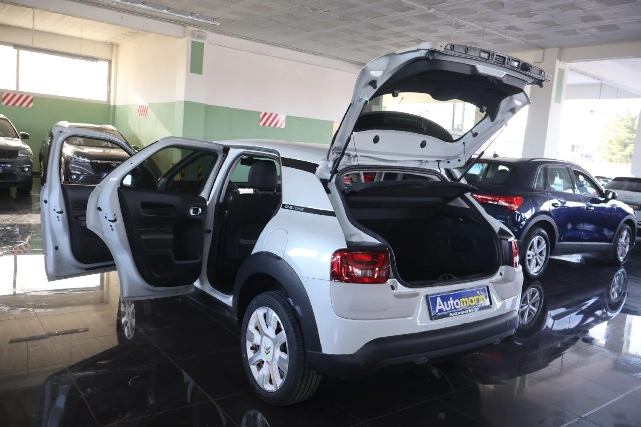 Citroen C4 Cactus - View model 9