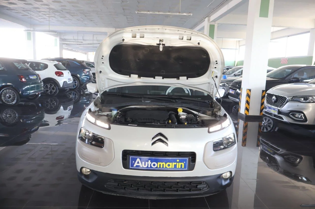 Citroen C4 Cactus - View model 18