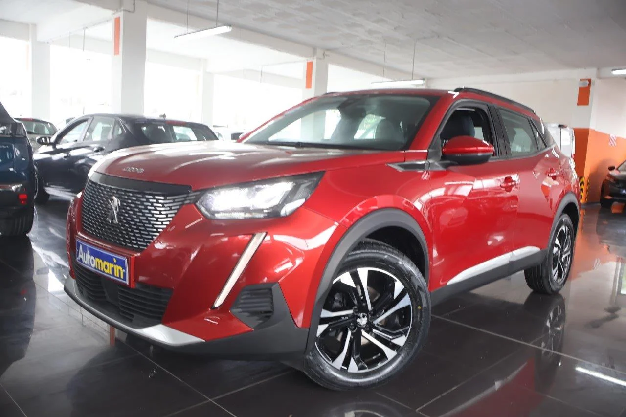 View 1 - Peugeot 2008 - 2020