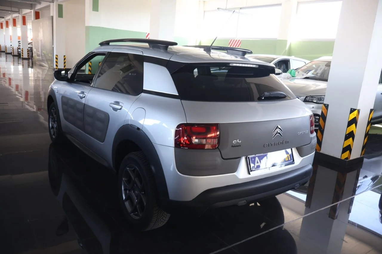 Citroen C4 Cactus - View model 6