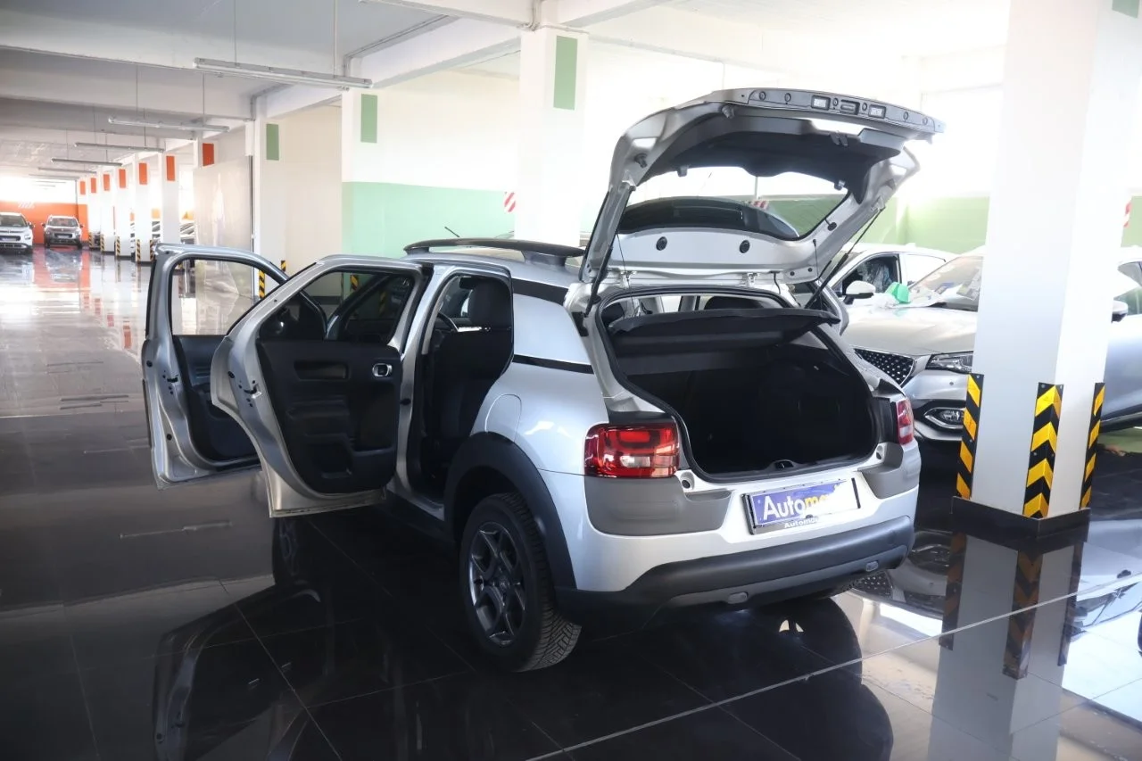Citroen C4 Cactus - View model 9