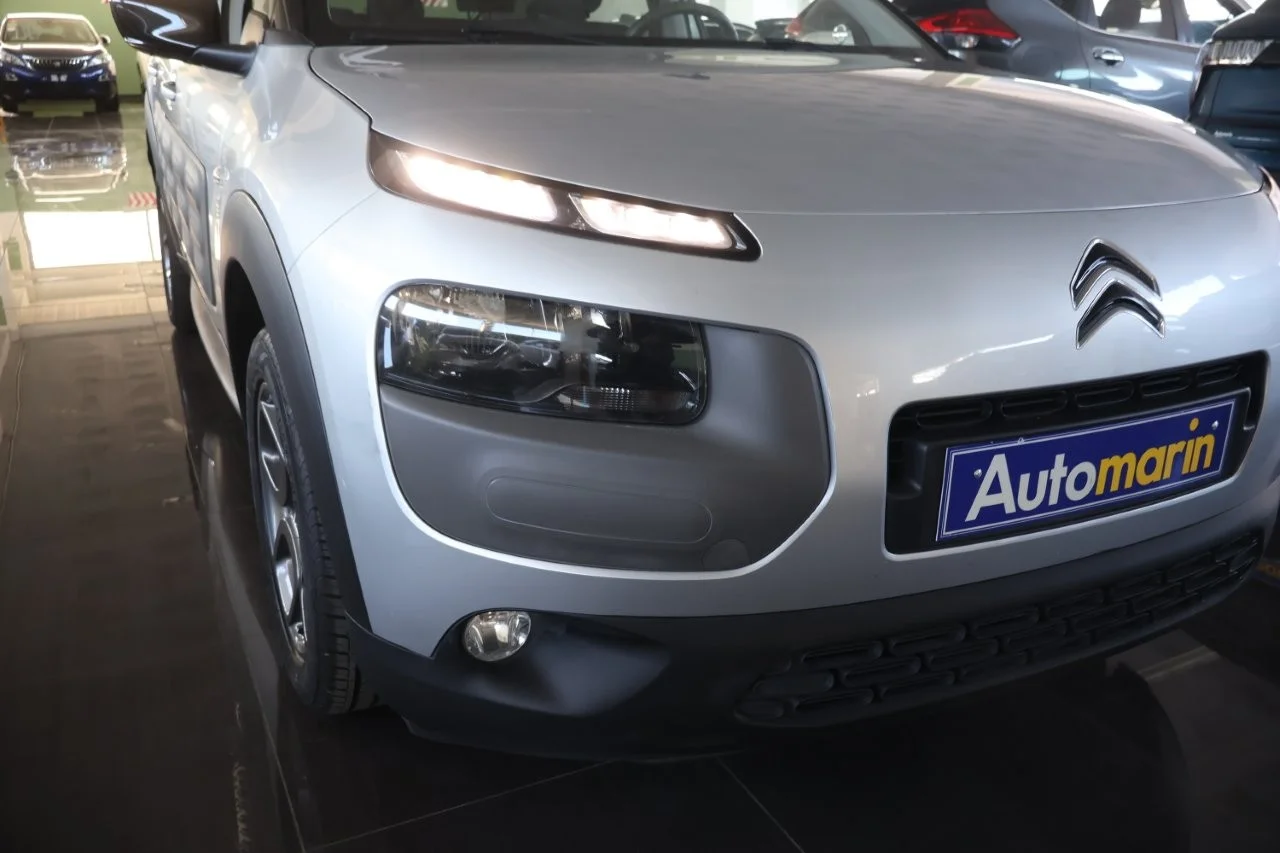 Citroen C4 Cactus - View model 17