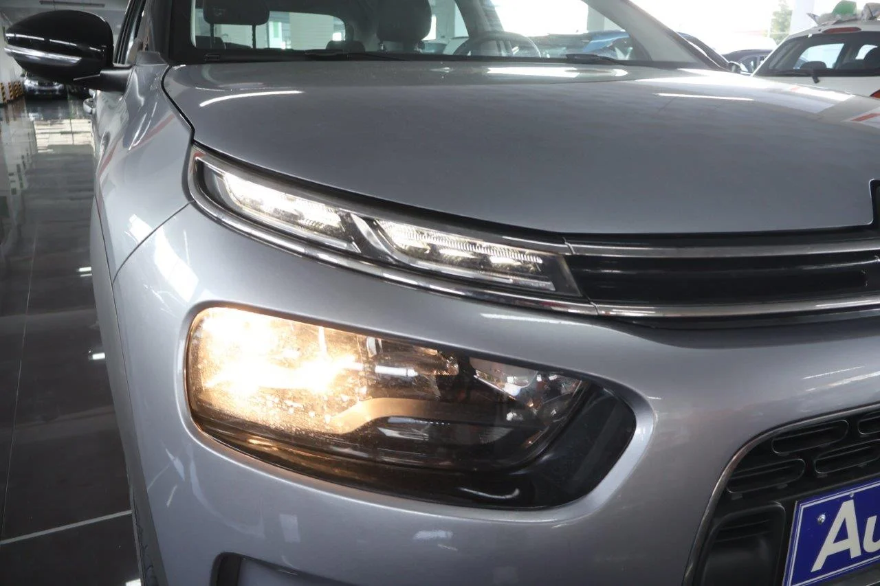 Citroen C4 Cactus - View model 18
