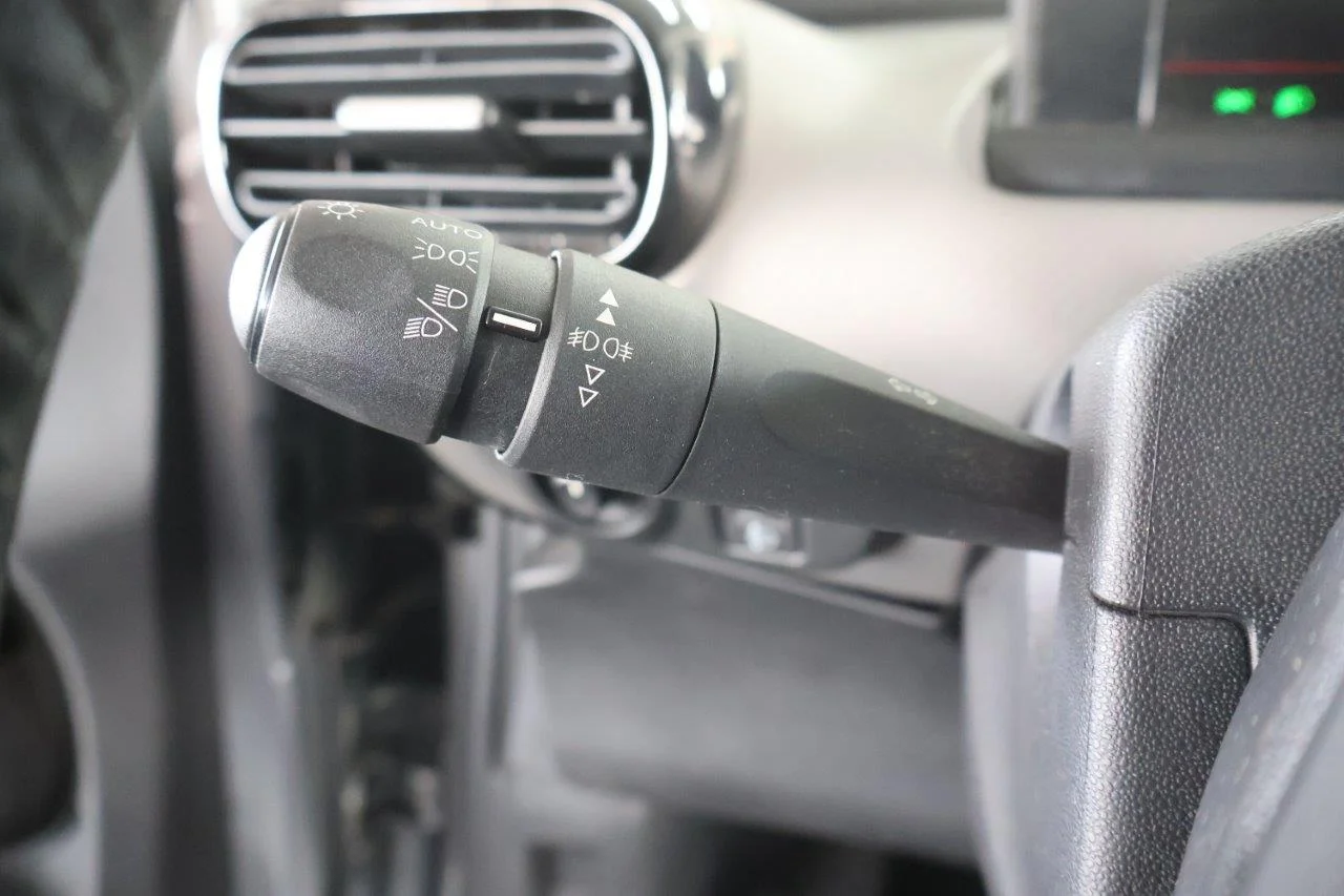 Citroen C4 Cactus - View model 30