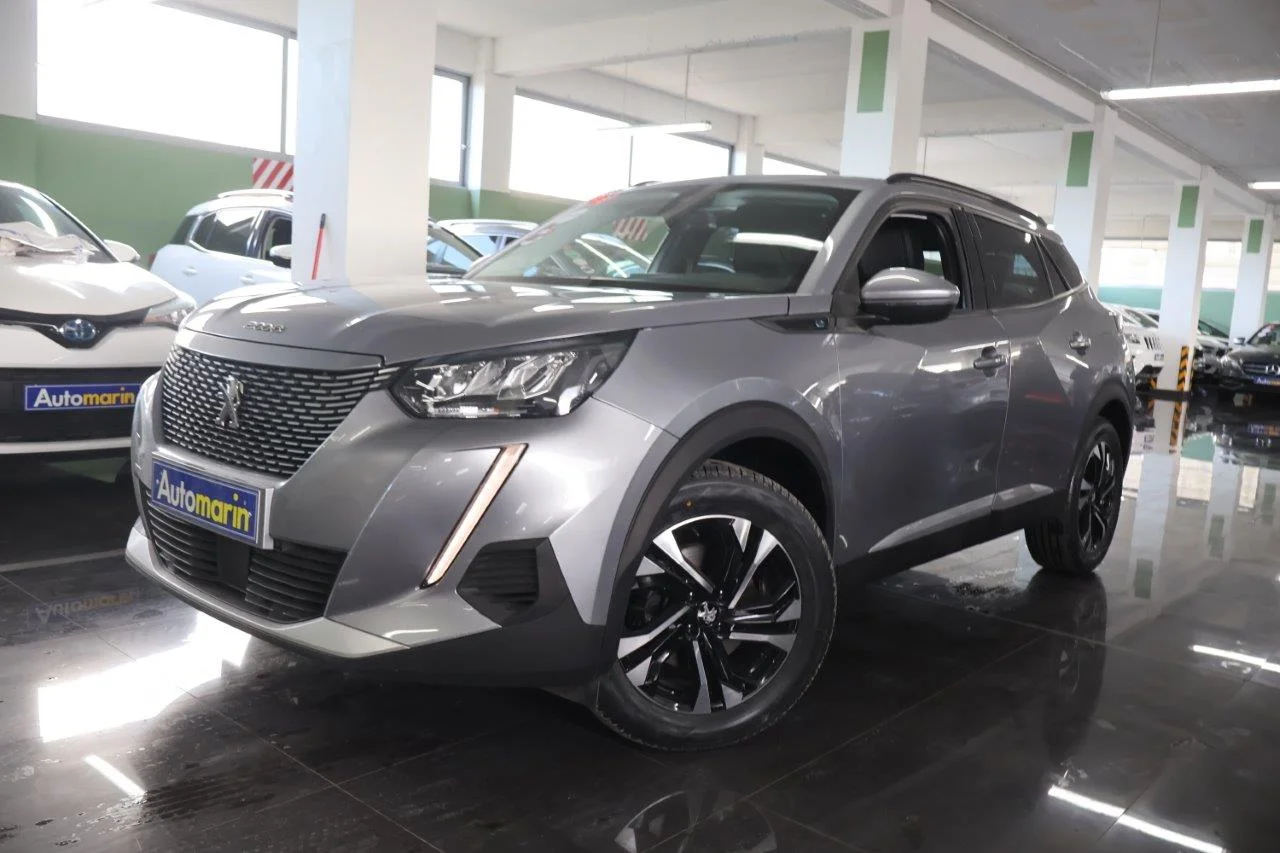 View 1 - Peugeot 2008 - 2021