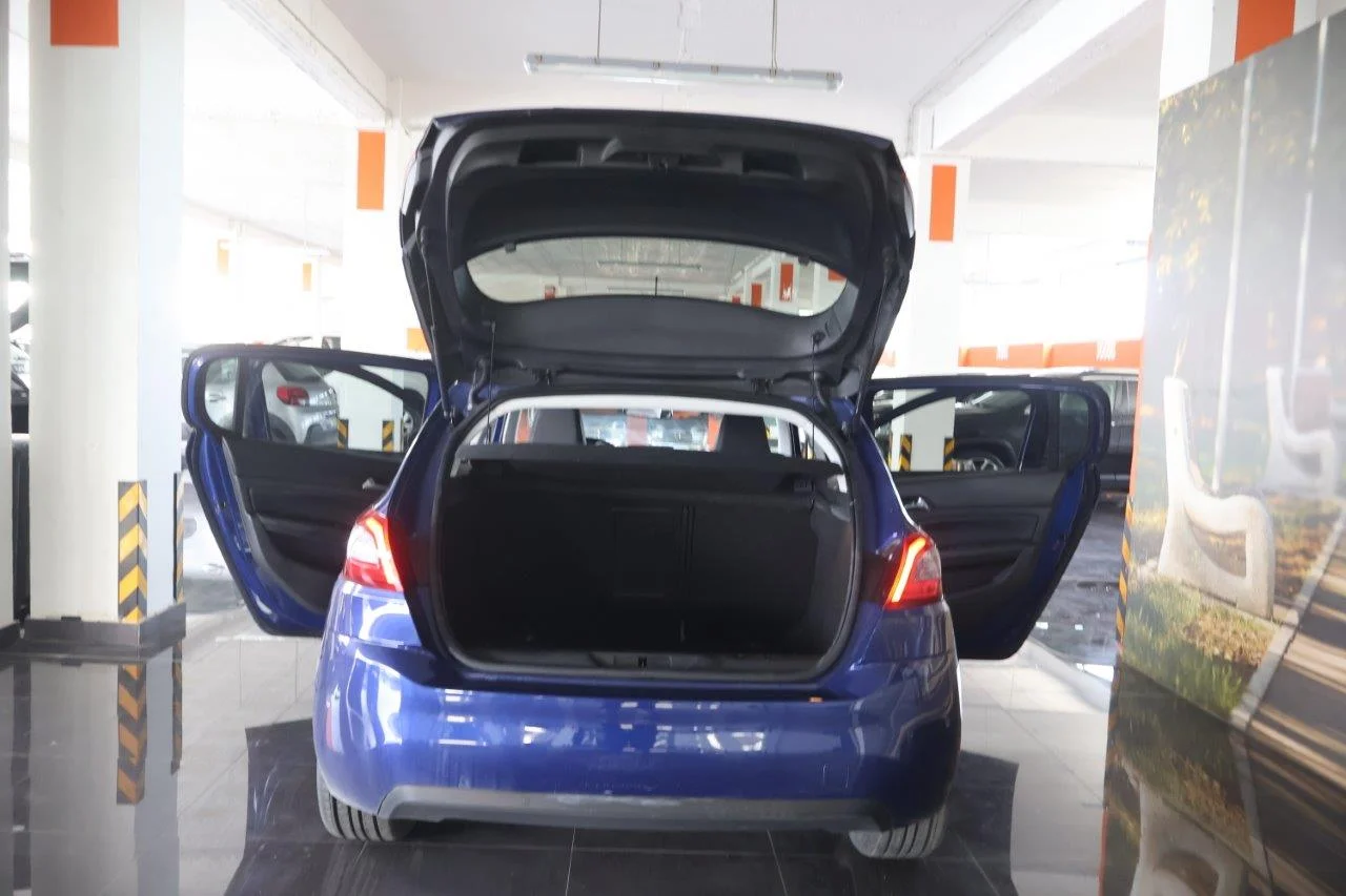 Peugeot 308 - View model 8