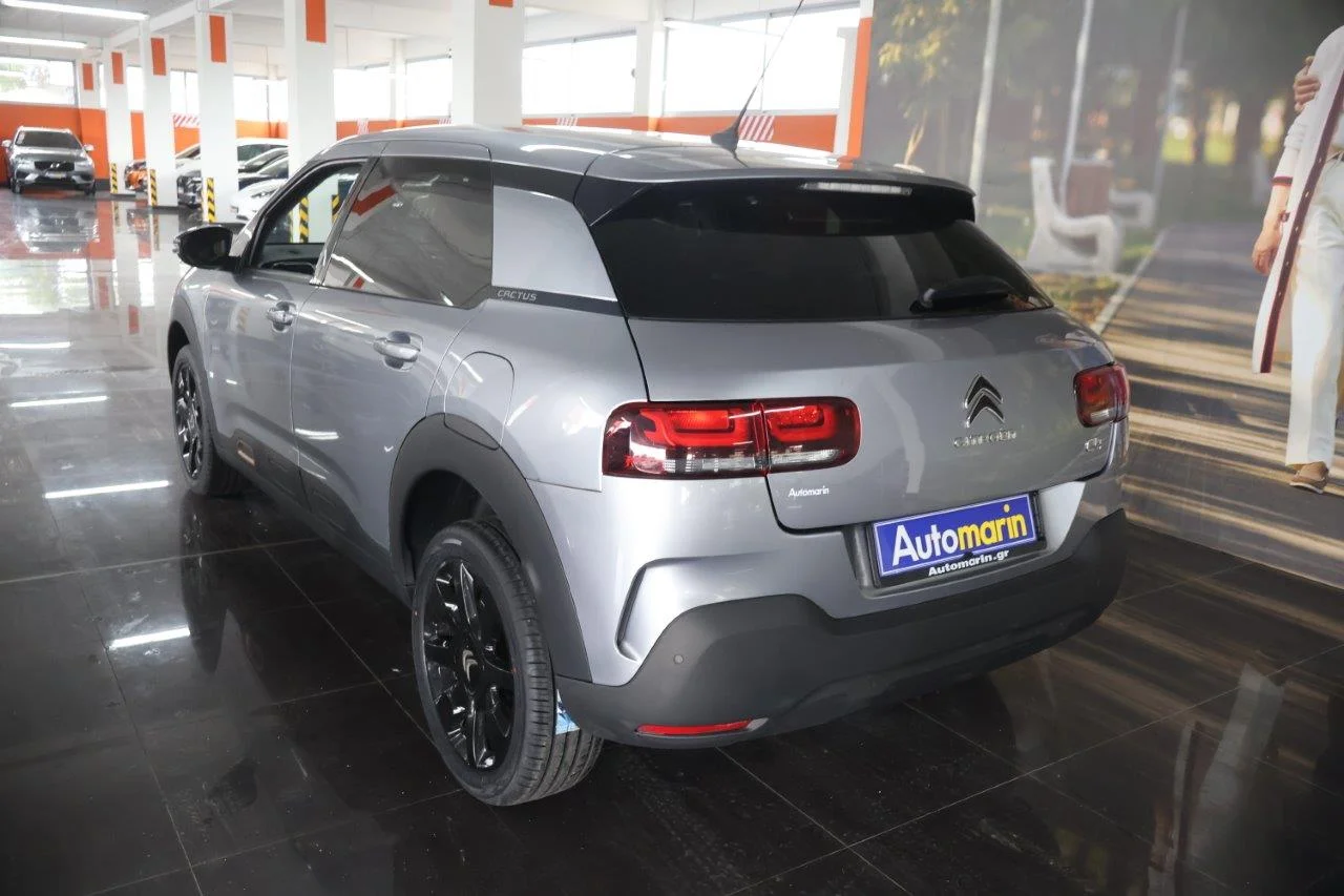 Citroen C4 Cactus - View model 6