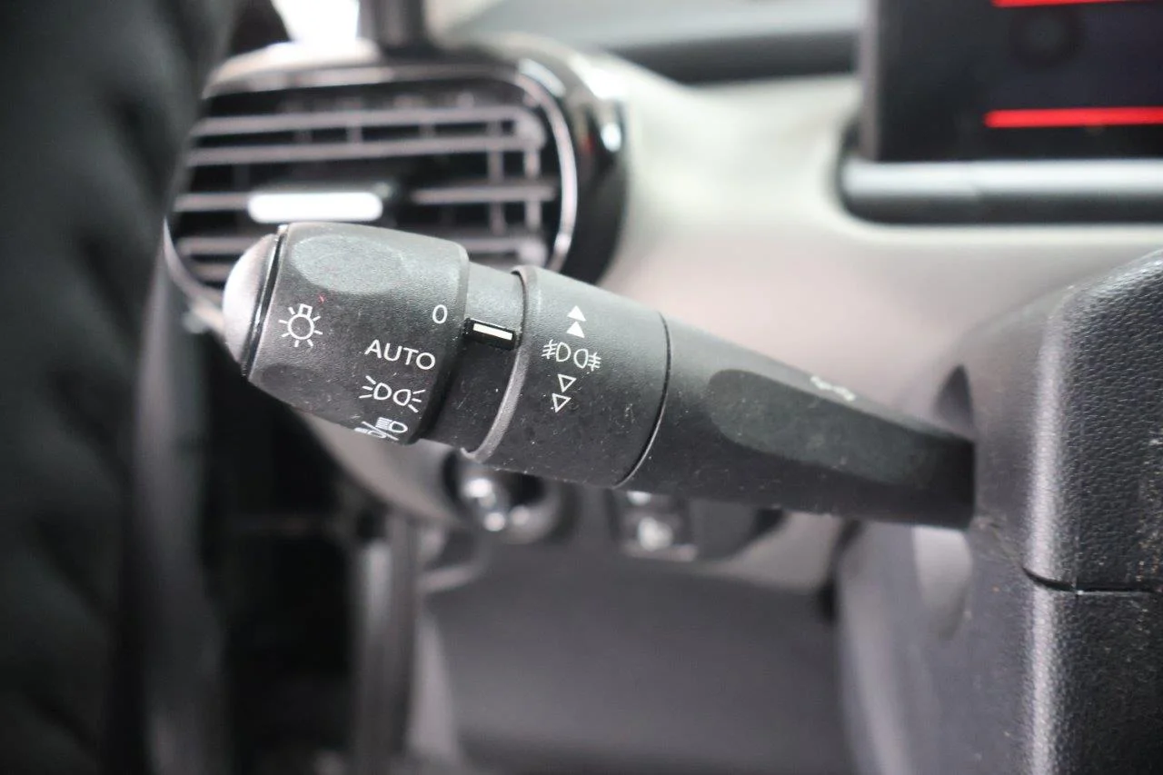 Citroen C4 Cactus - View model 21