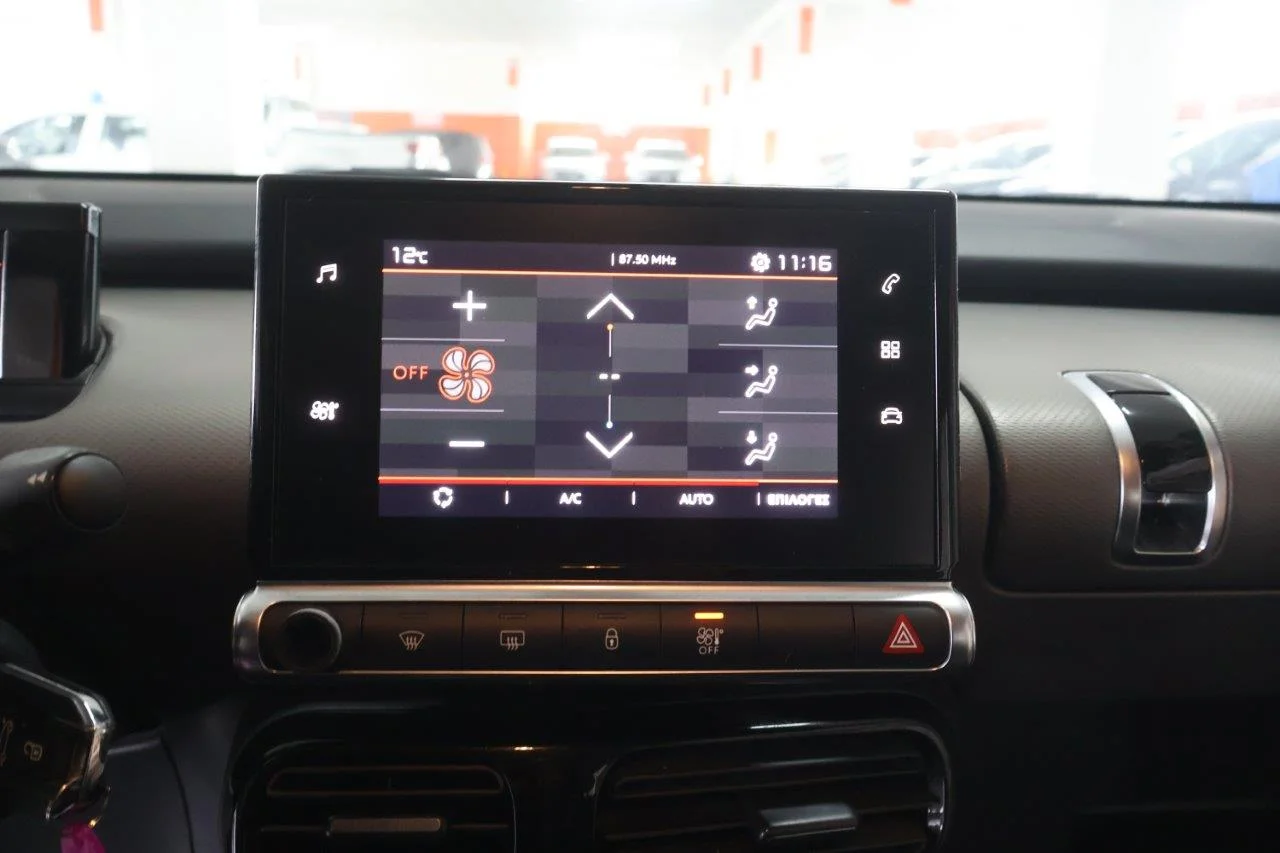 Citroen C4 Cactus - View model 25