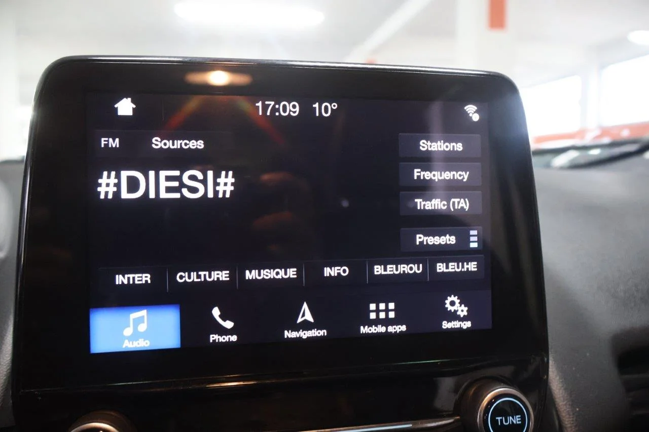 Ford EcoSport - View model 31