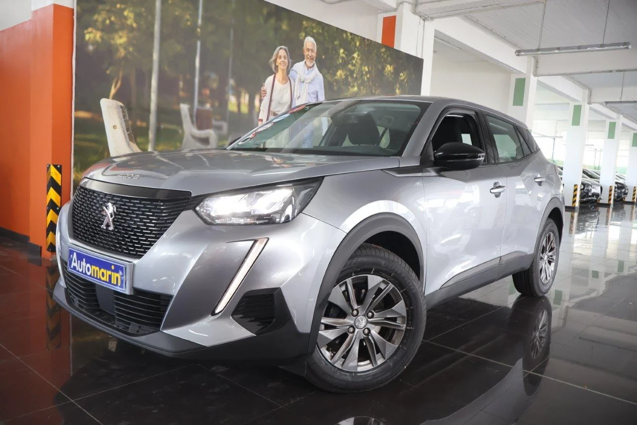 View 1 - Peugeot 2008 - 2022
