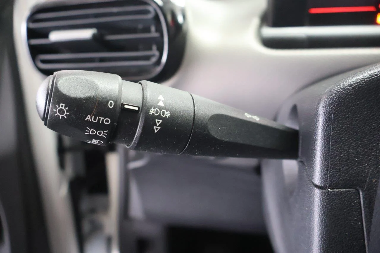 Citroen C4 Cactus - View model 31