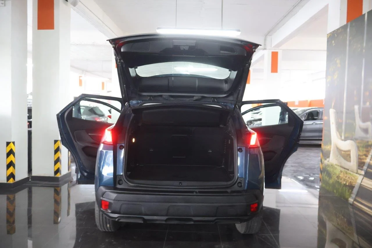 Peugeot 3008 - View model 8