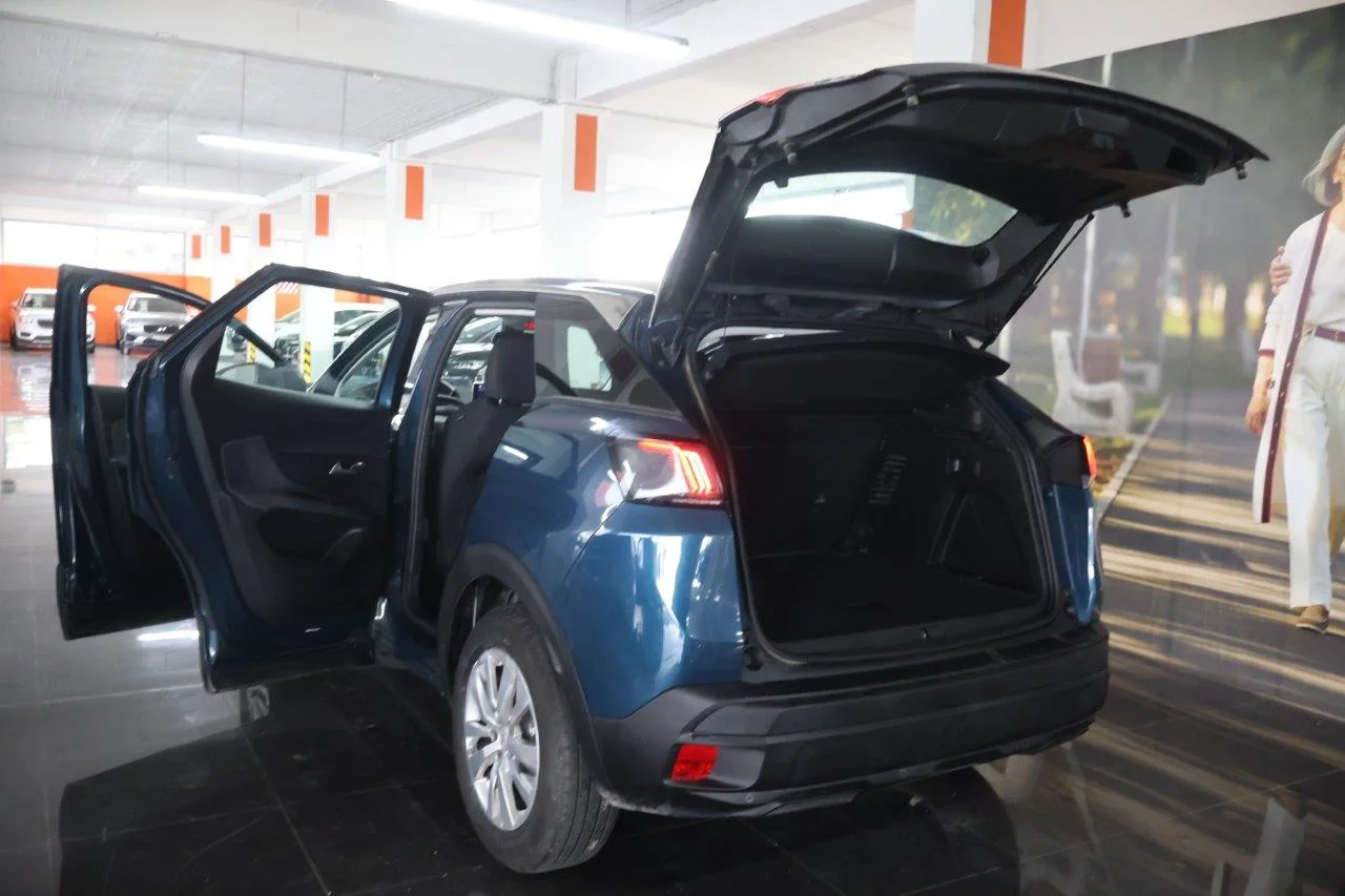 Peugeot 3008 - View model 9
