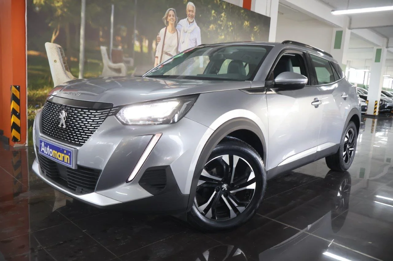 View 1 - Peugeot 2008 - 2020