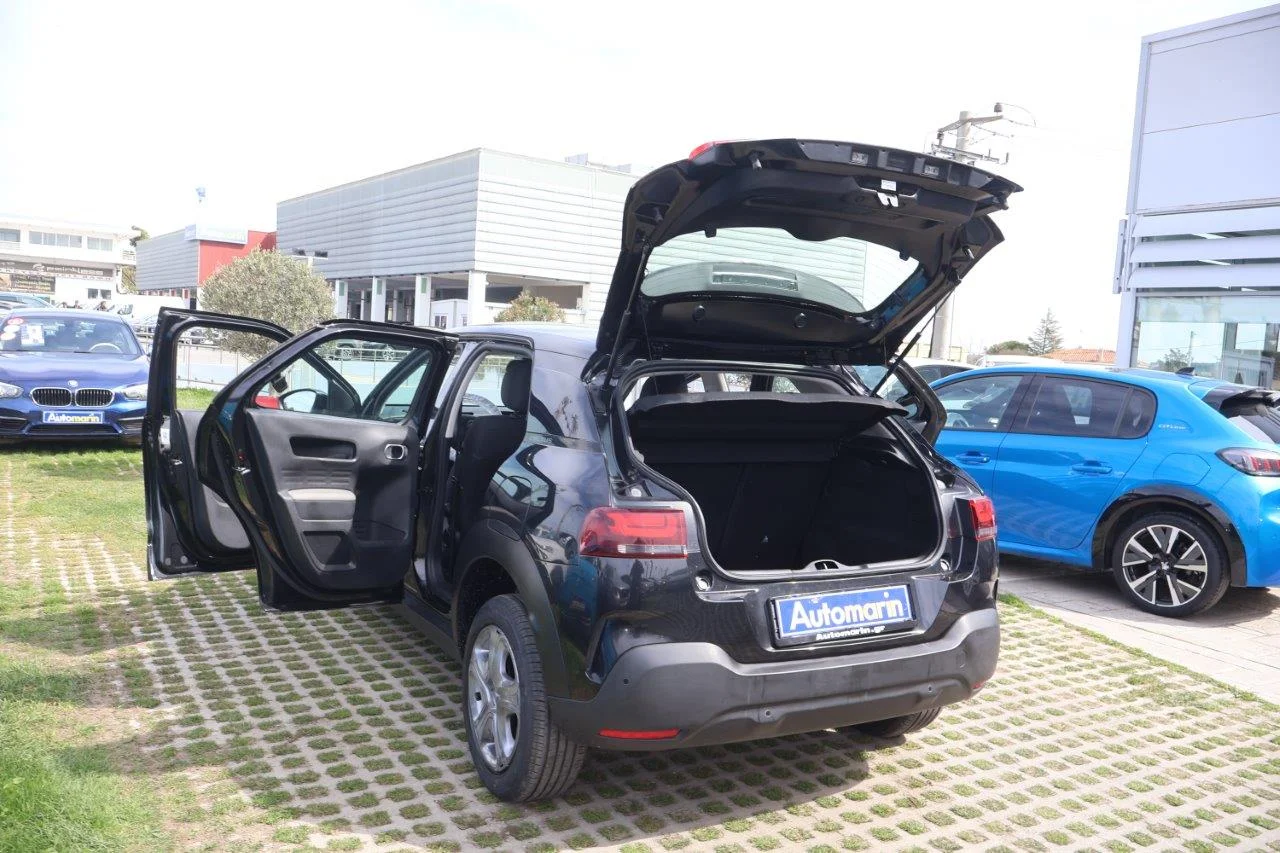 Citroen C4 Cactus - View model 8