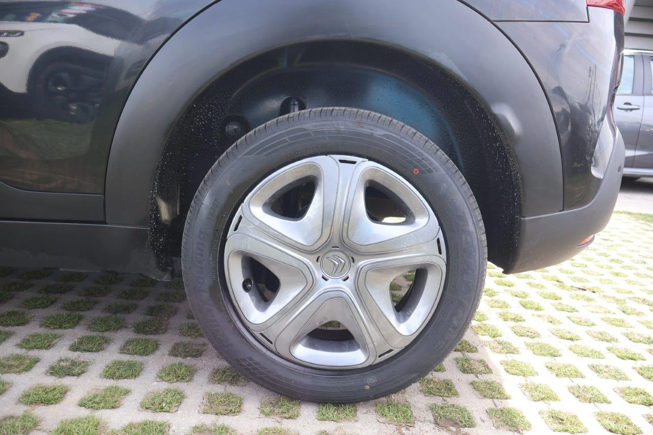 Citroen C4 Cactus - View model 10