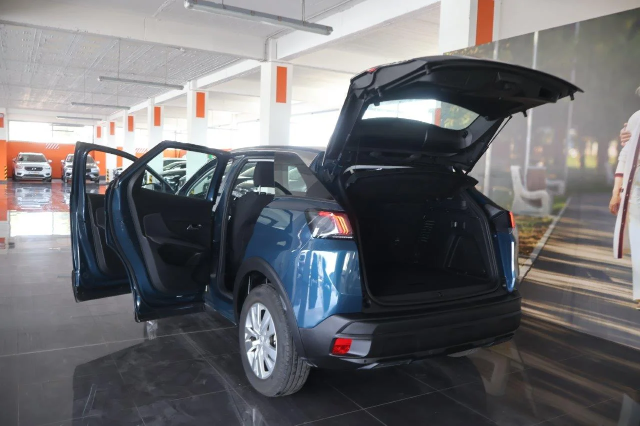 Peugeot 3008 - View model 9
