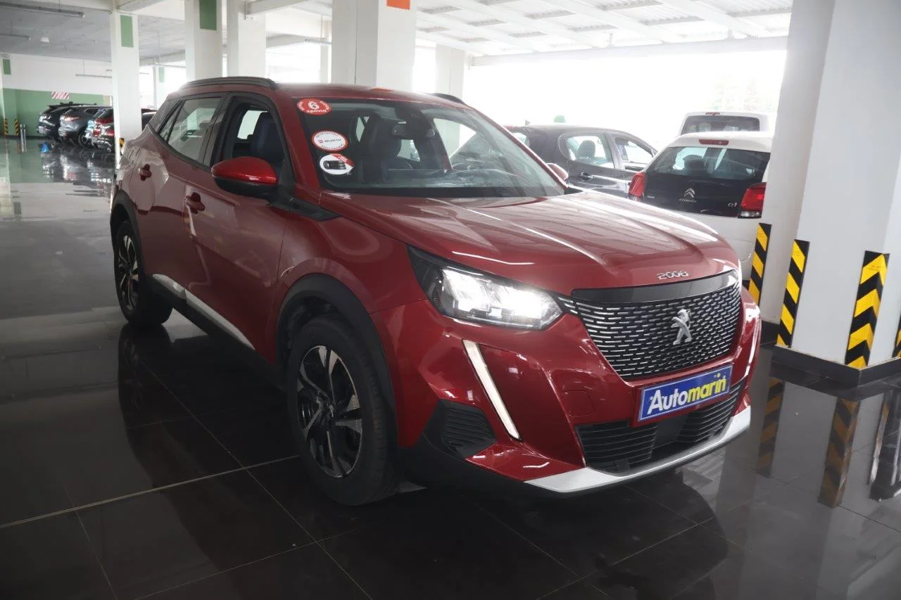 View 4 - Peugeot 2008 - 2020