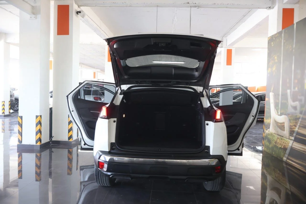 Peugeot 3008 - View model 8
