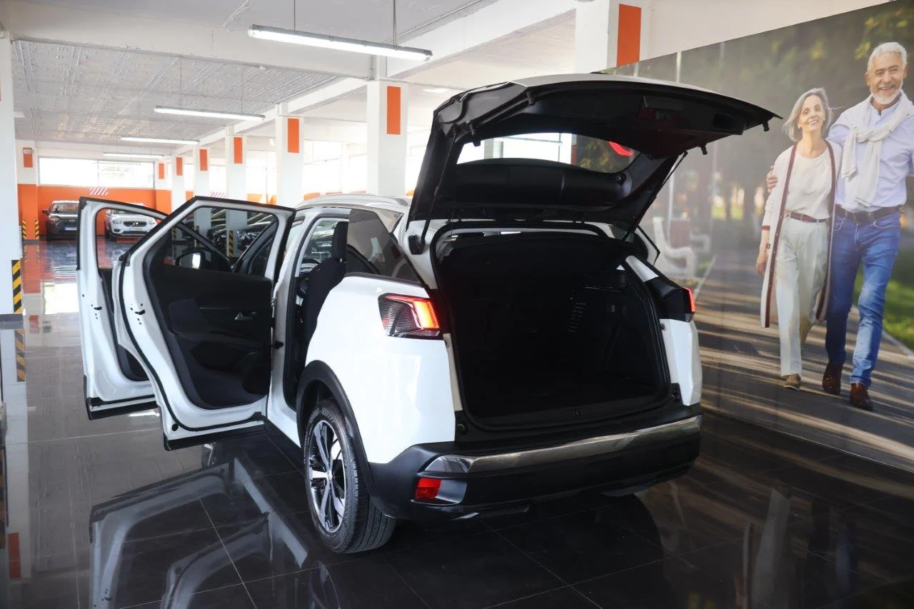 Peugeot 3008 - View model 9