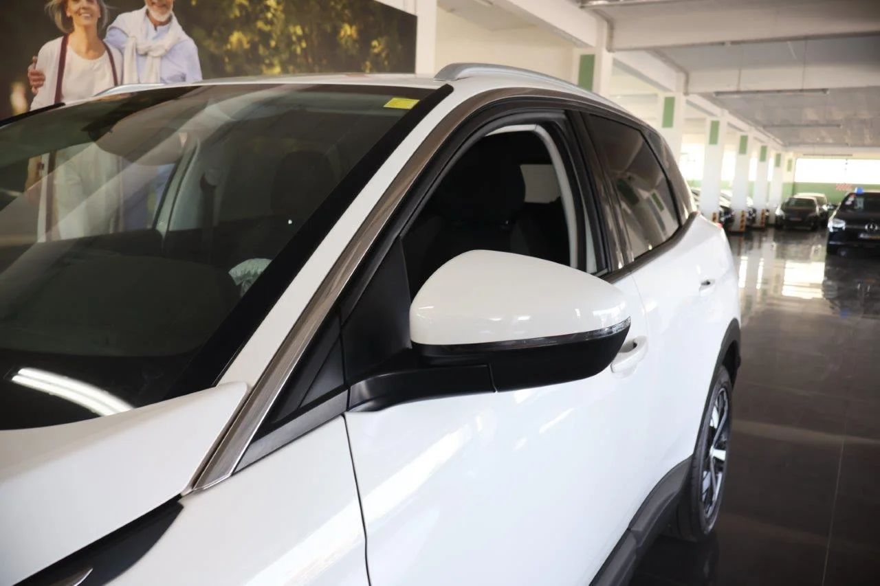 Peugeot 3008 - View model 13
