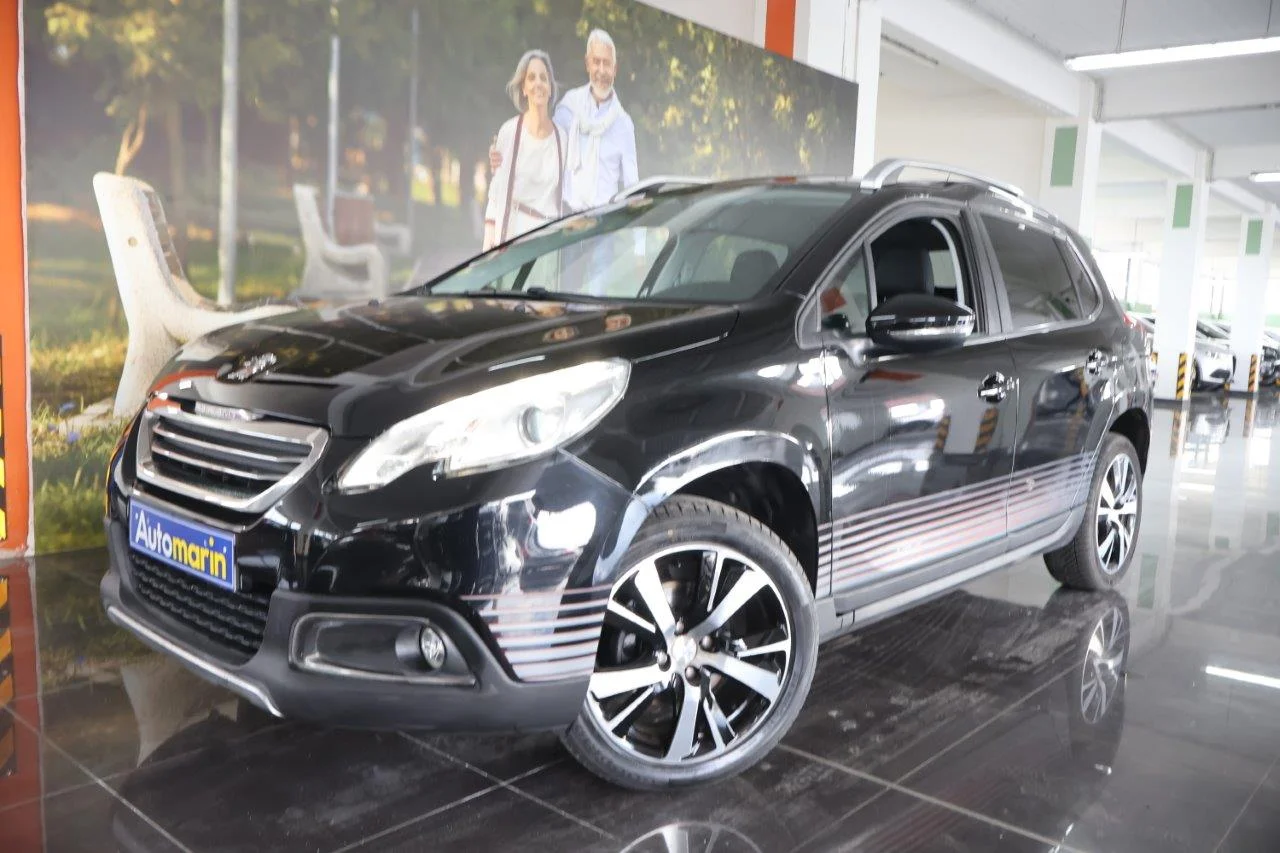 View 1 - Peugeot 2008 - 2016