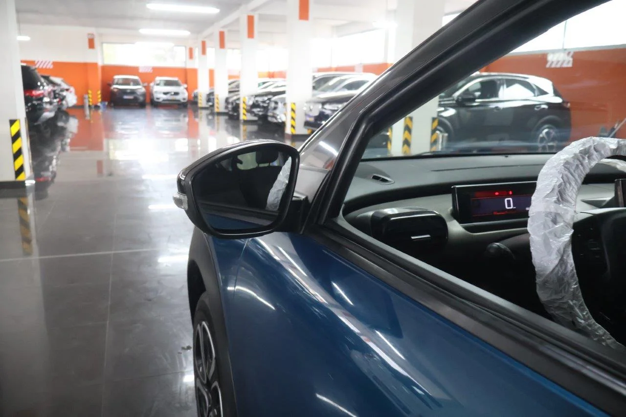 Citroen C4 Cactus - View model 15