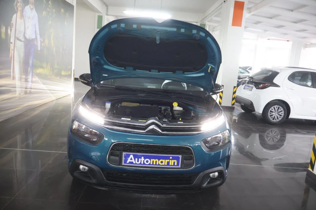 Citroen C4 Cactus - View model 19
