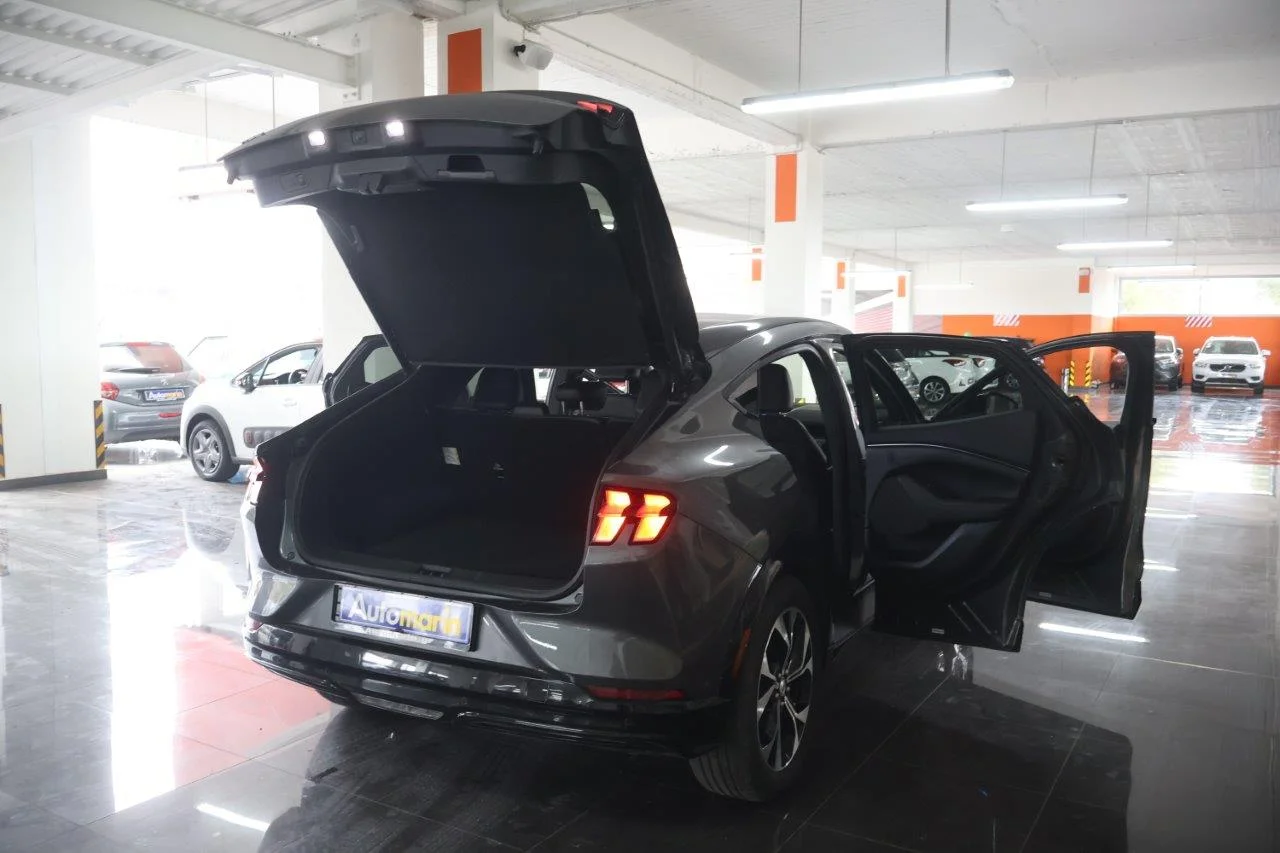Ford Mustang Mach-E - View model 7