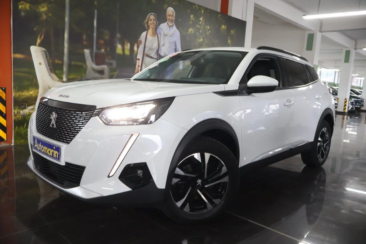View 1 - Peugeot 2008 - 2021