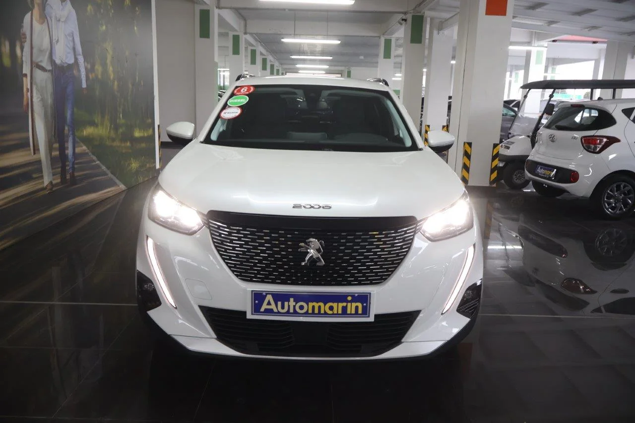 View 3 - Peugeot 2008 - 2021