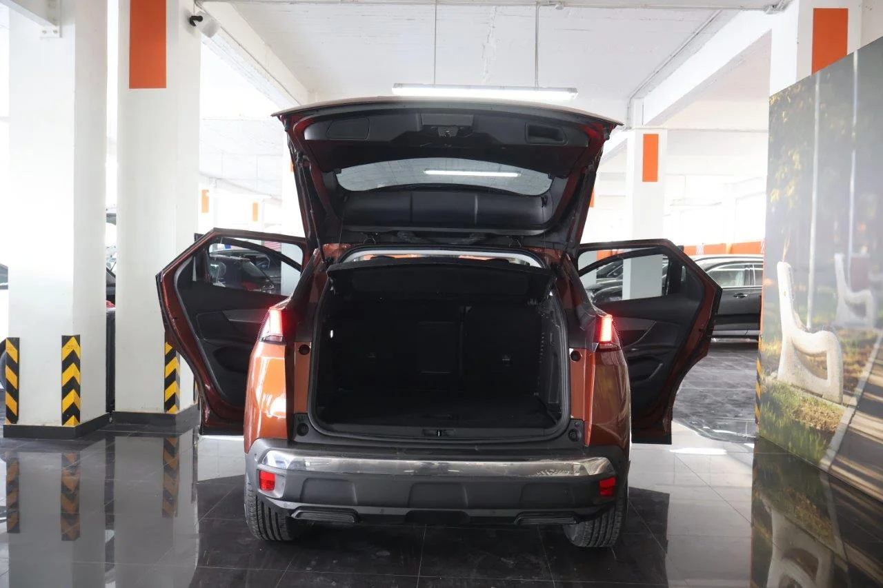 Peugeot 3008 - View model 8