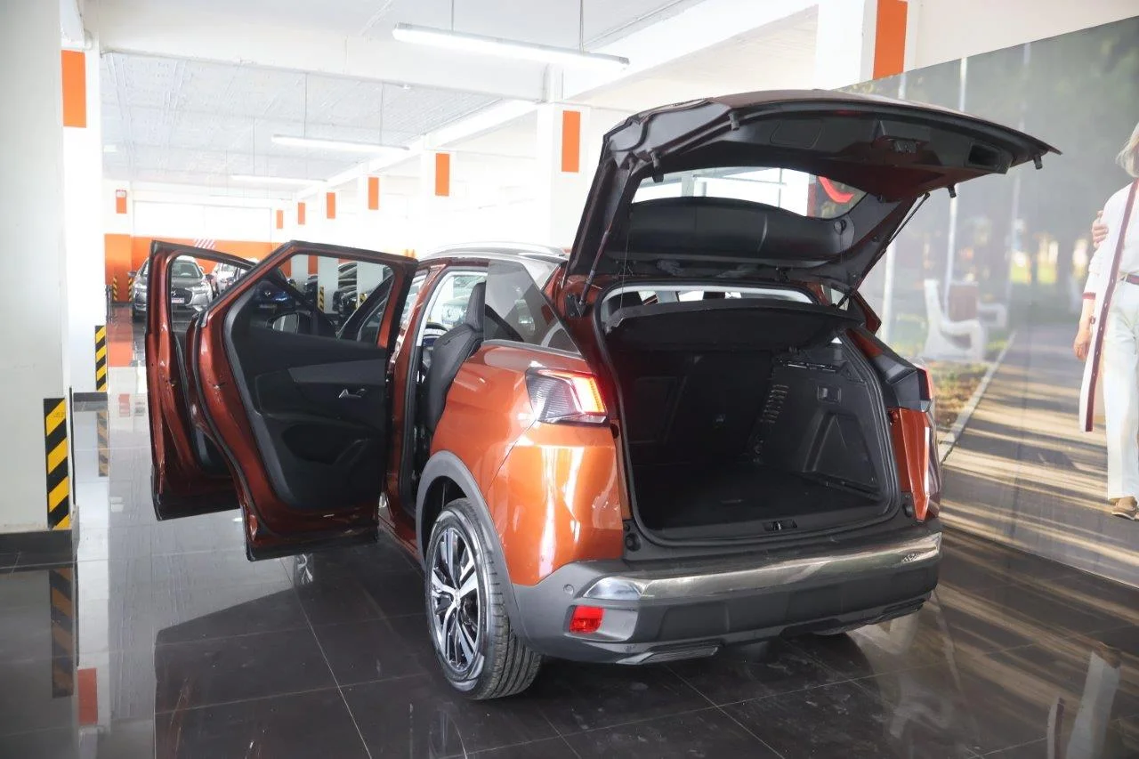 Peugeot 3008 - View model 9
