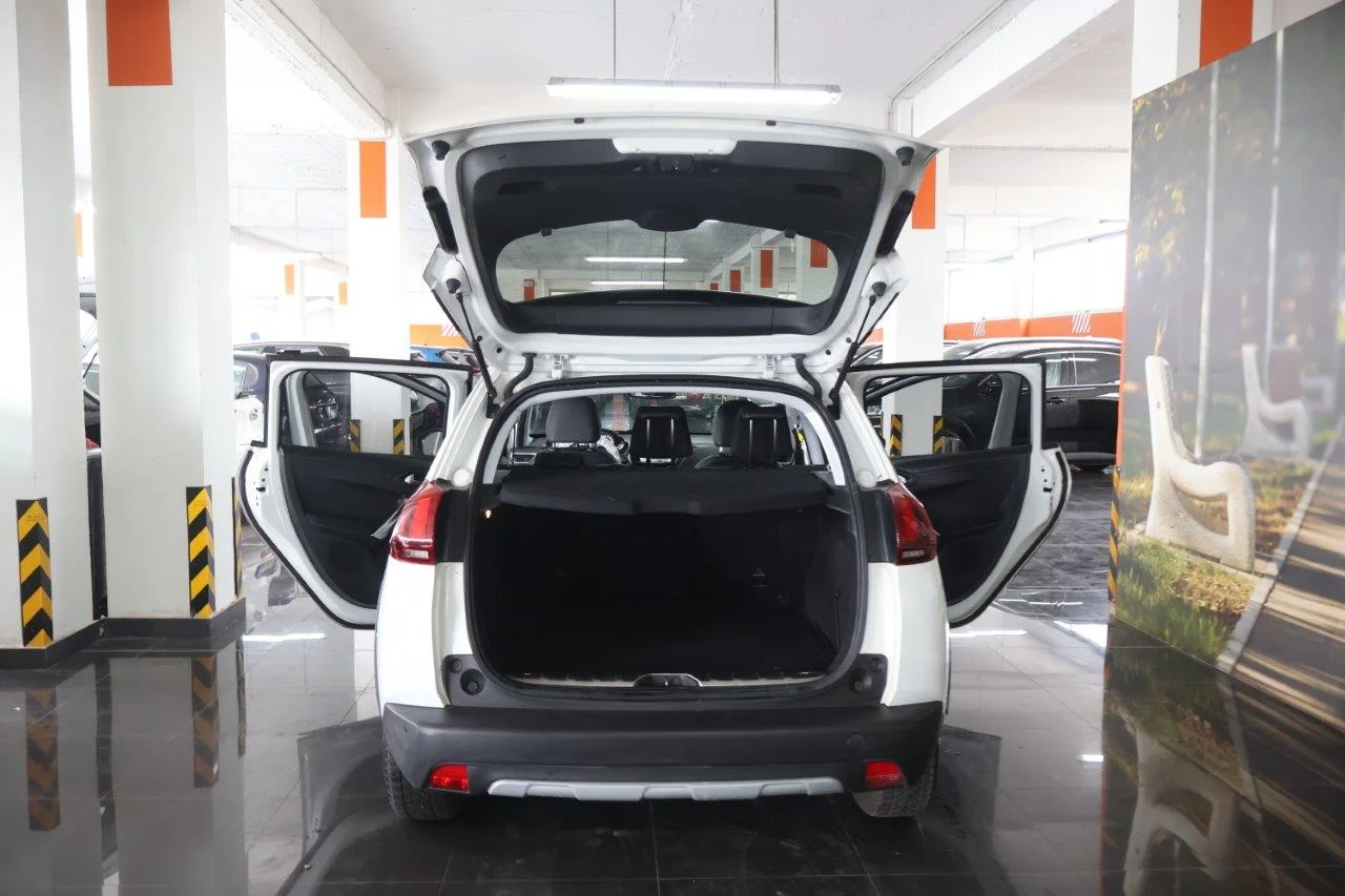 View 5 - Peugeot 2008 - 2018