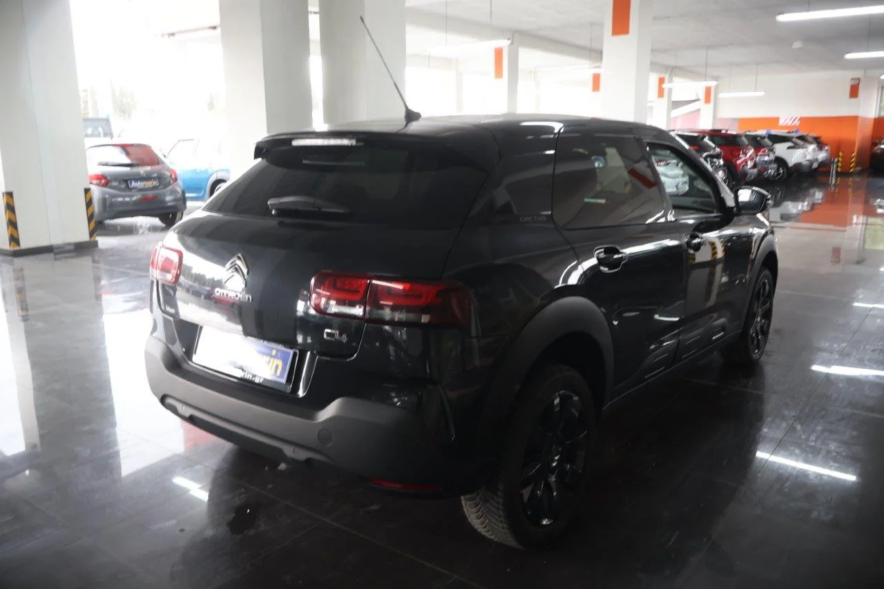 View 5 - Citroen C4 Cactus - 2019