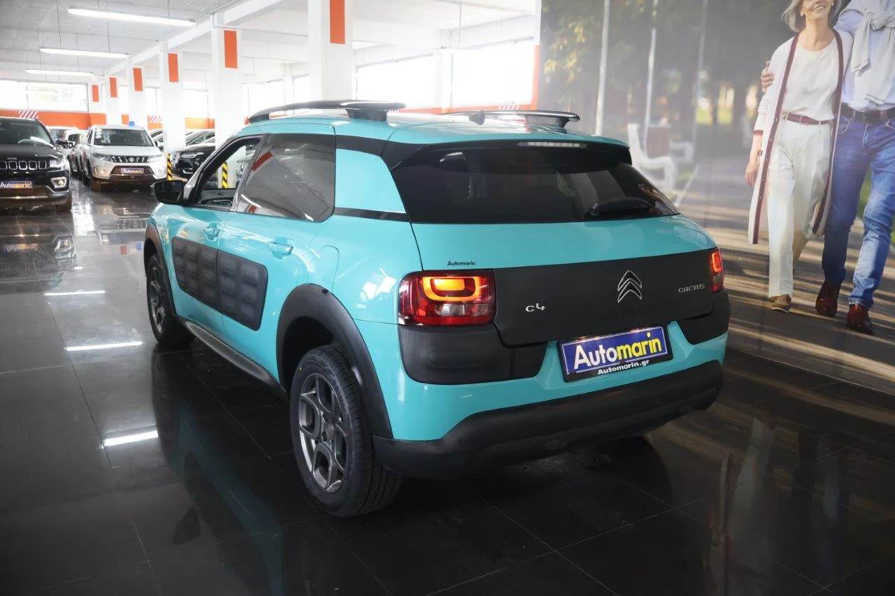 Citroen C4 Cactus - View model 6