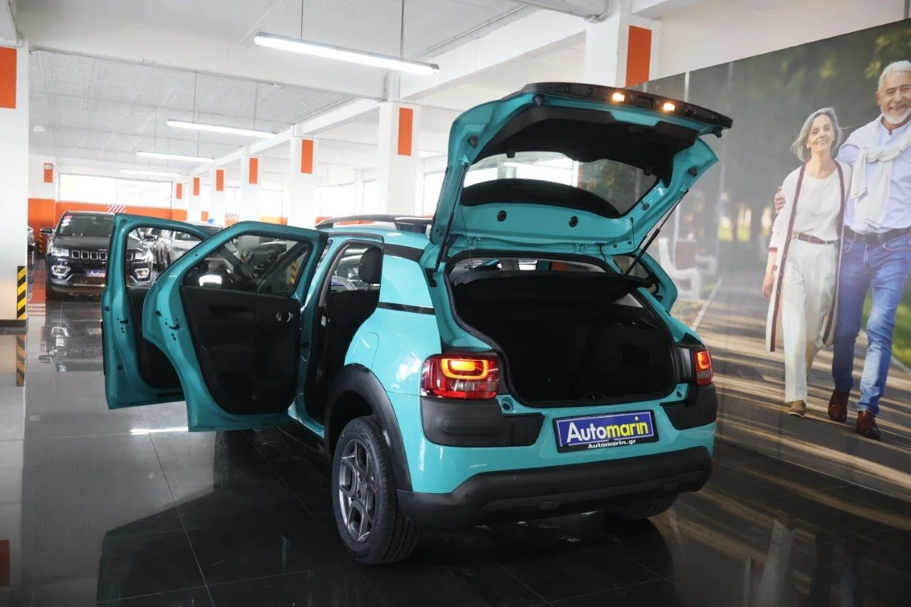 Citroen C4 Cactus - View model 9