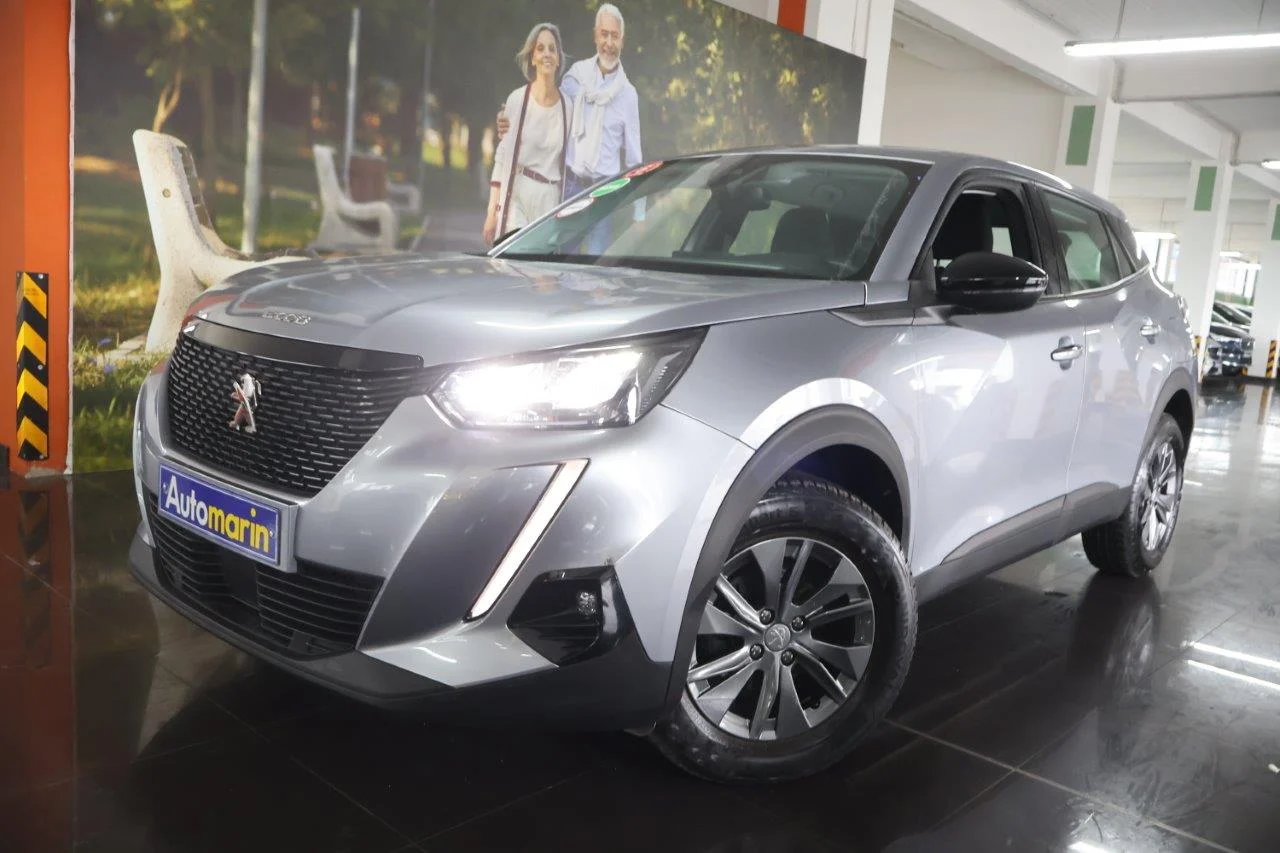 View 1 - Peugeot 2008 - 2022