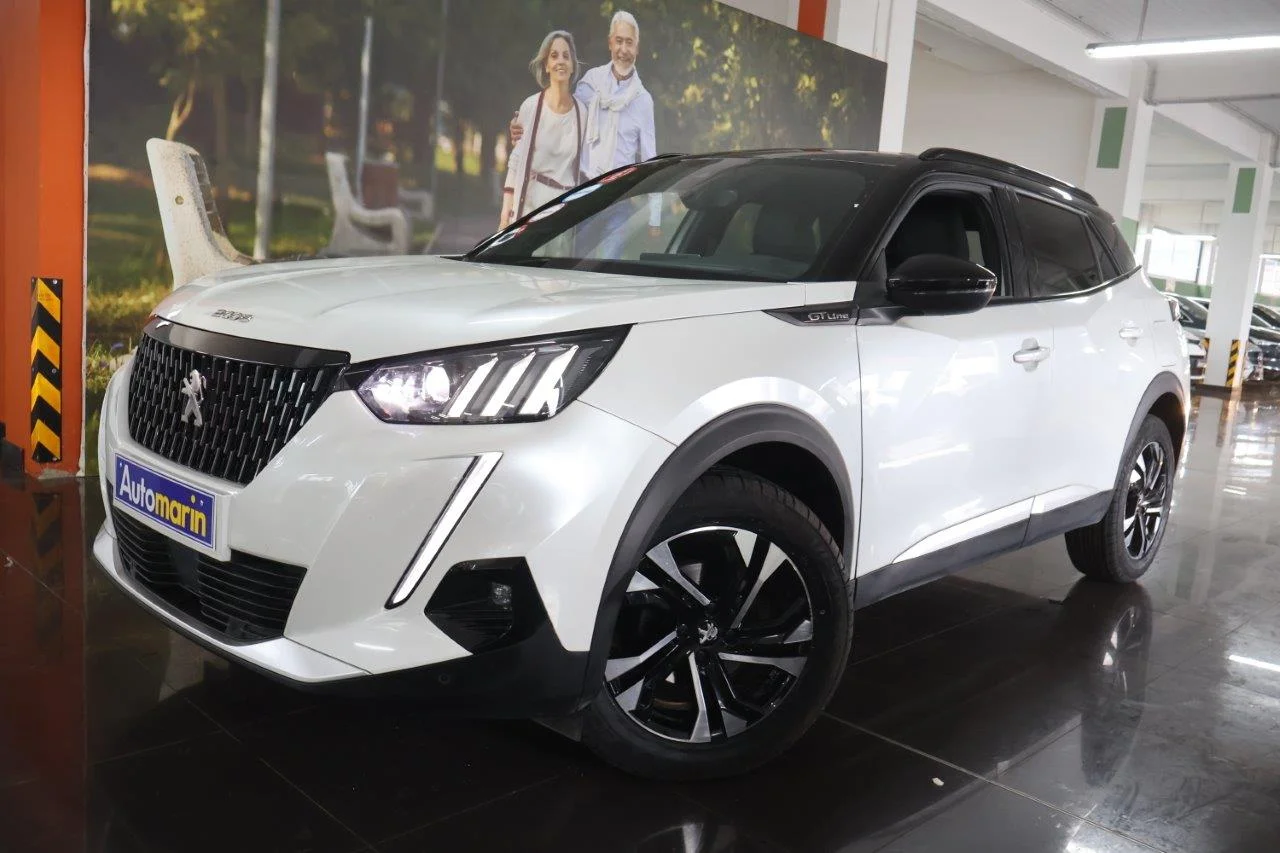 View 1 - Peugeot 2008 - 2020