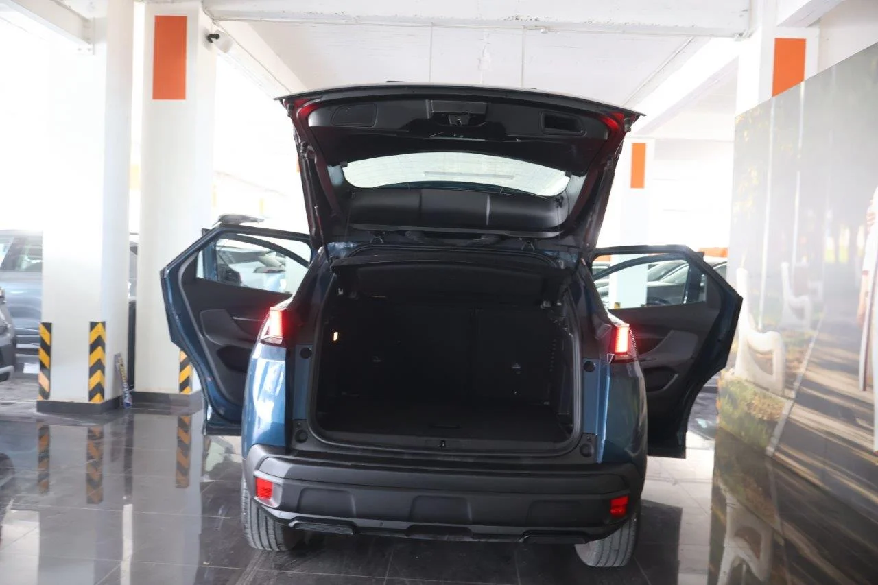 Peugeot 3008 - View model 8
