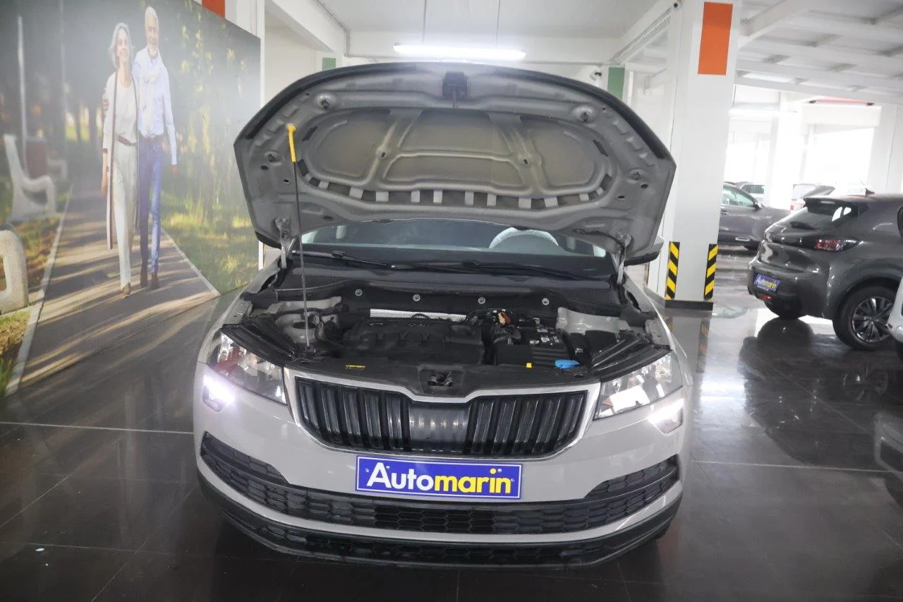 Skoda Karoq - View model 18