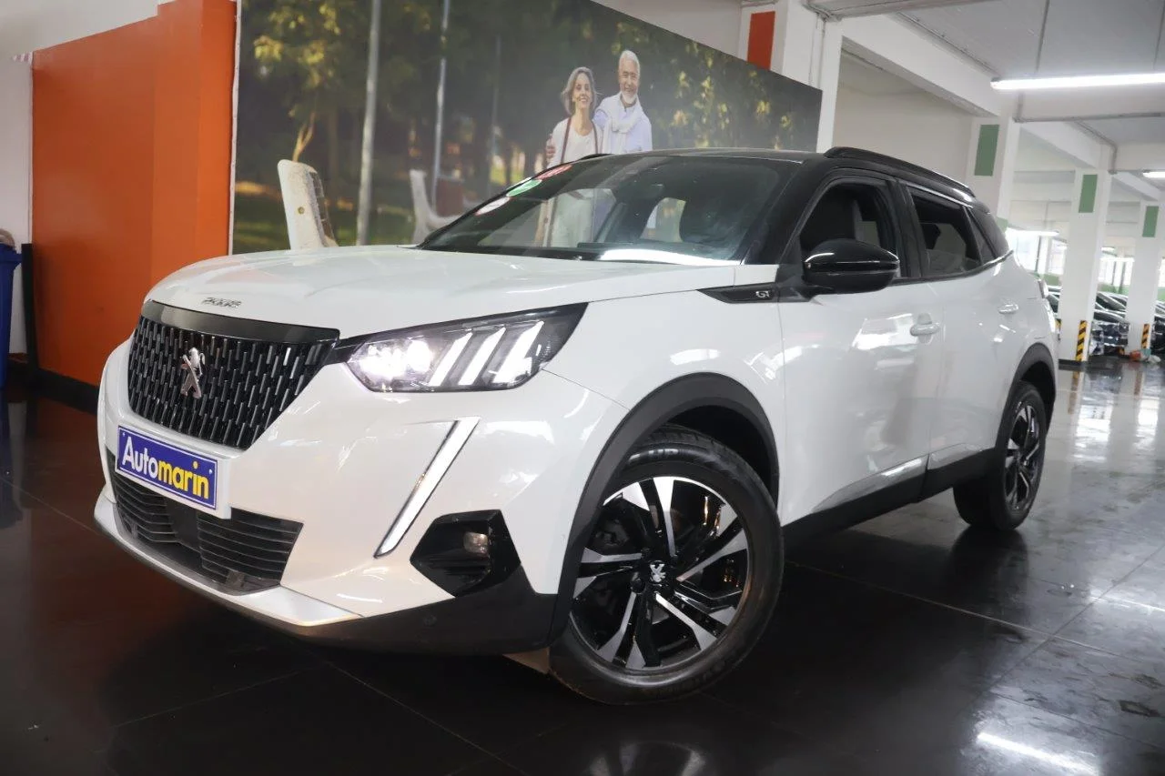 View 1 - Peugeot 2008 - 2021