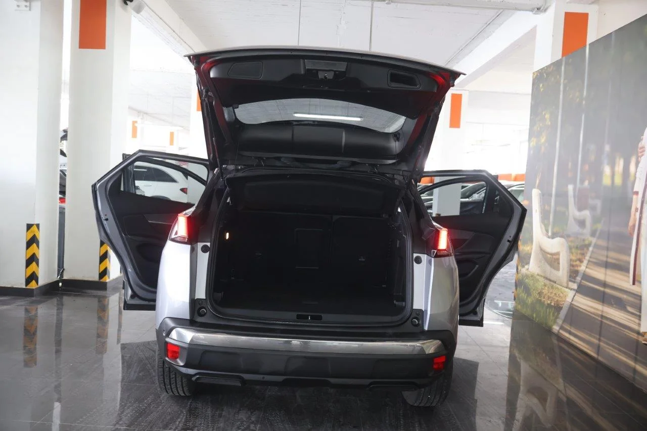 Peugeot 3008 - View model 8