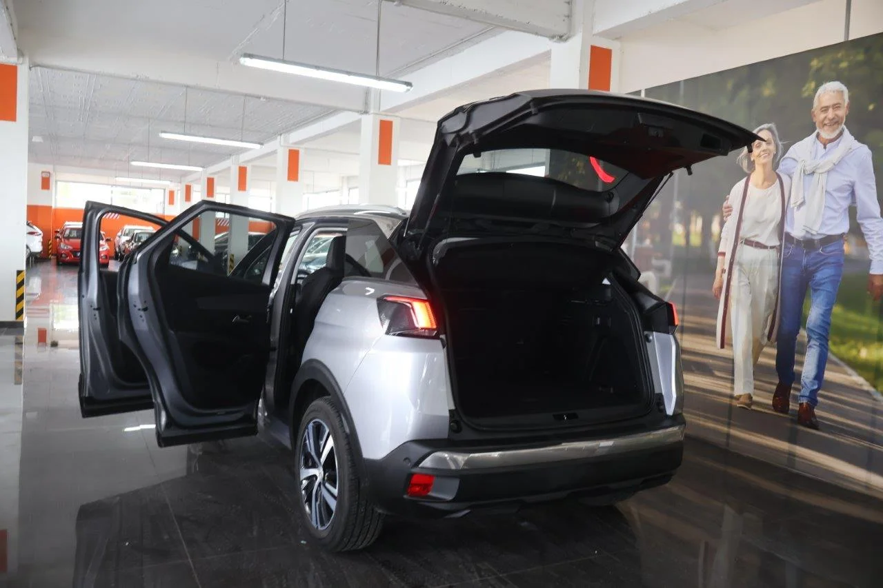 Peugeot 3008 - View model 9