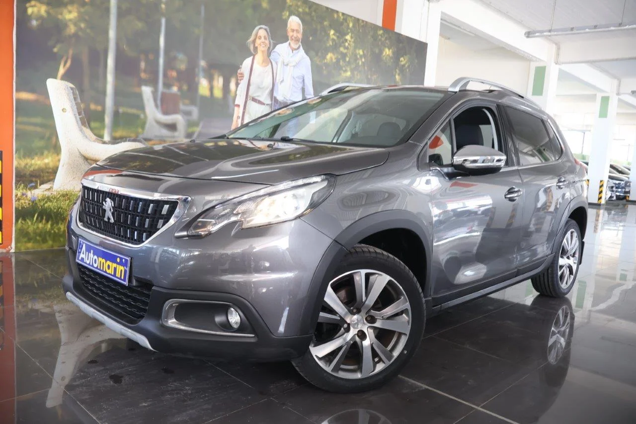 View 1 - Peugeot 2008 - 2018