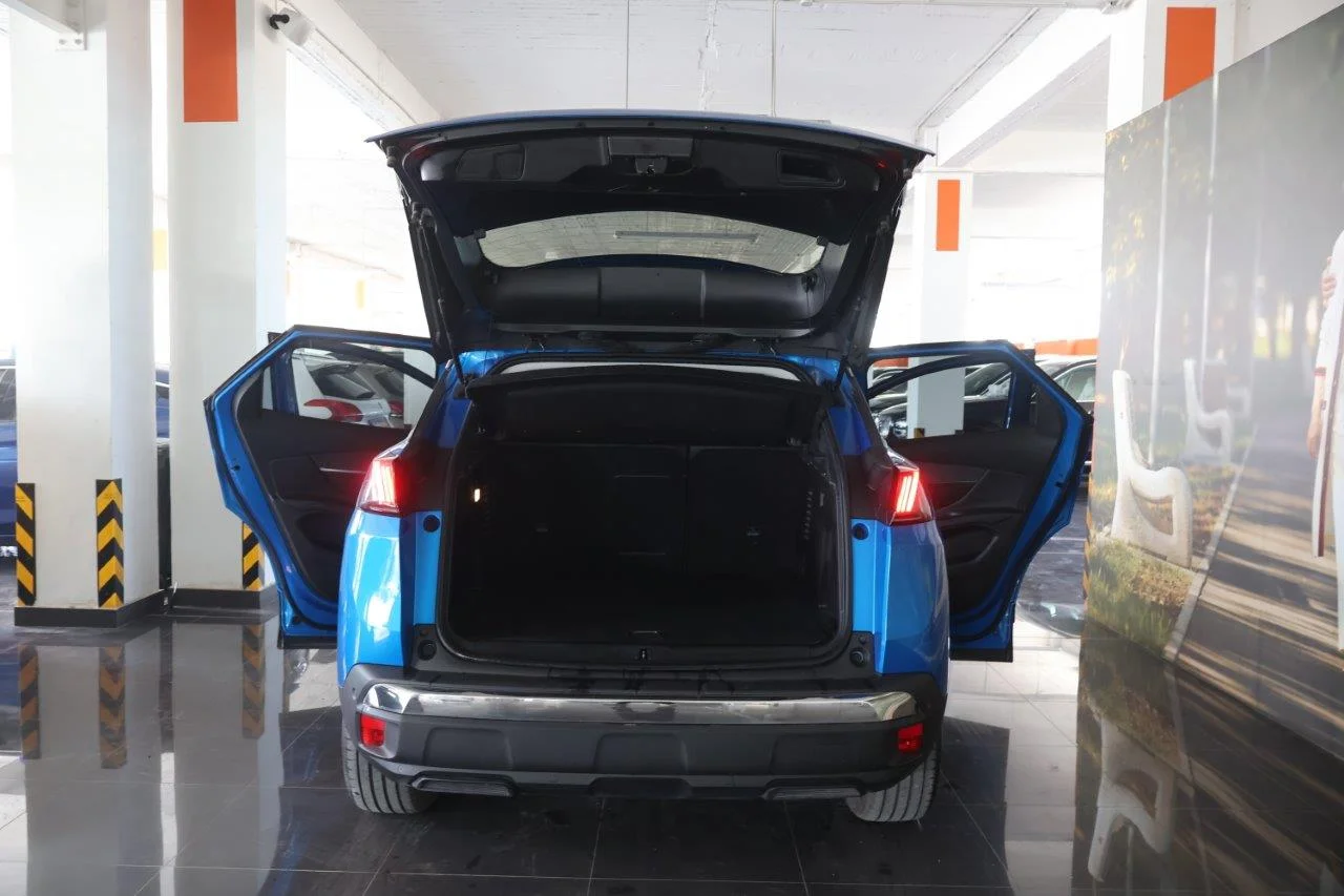 Peugeot 3008 - View model 8