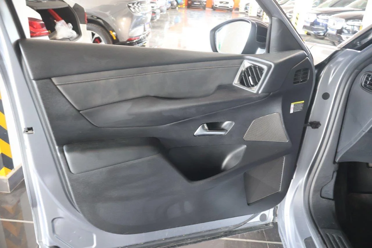 DS DS3 - View model 27