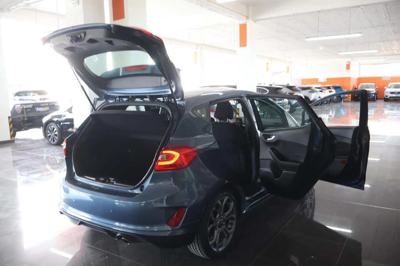 Ford Fiesta - View model 7